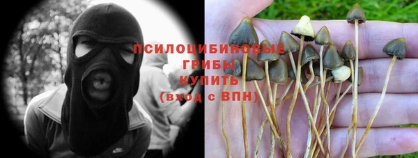 кокс Вяземский