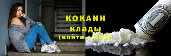 кокс Вяземский