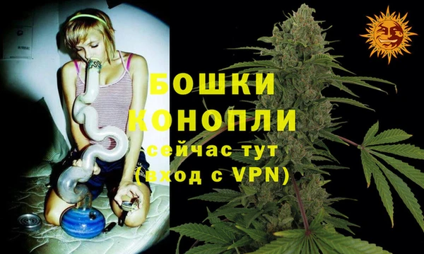 кокс Вяземский