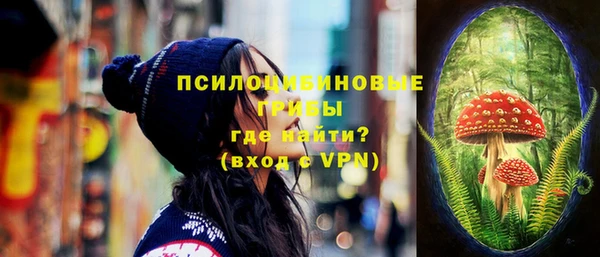 кокс Вяземский